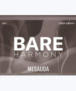 PALETTE MESAUDA.webp