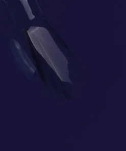 230_3_704x704.webp