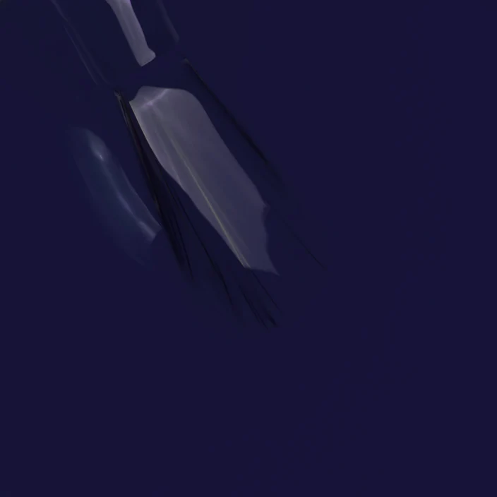 230_3_704x704.webp