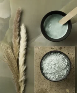 ALGO BOTANIC MASK PURIFYING SKIN SYSTEM.webp
