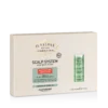 alfaparf milano il saloe scalp system energize lotion anticaduta.webp