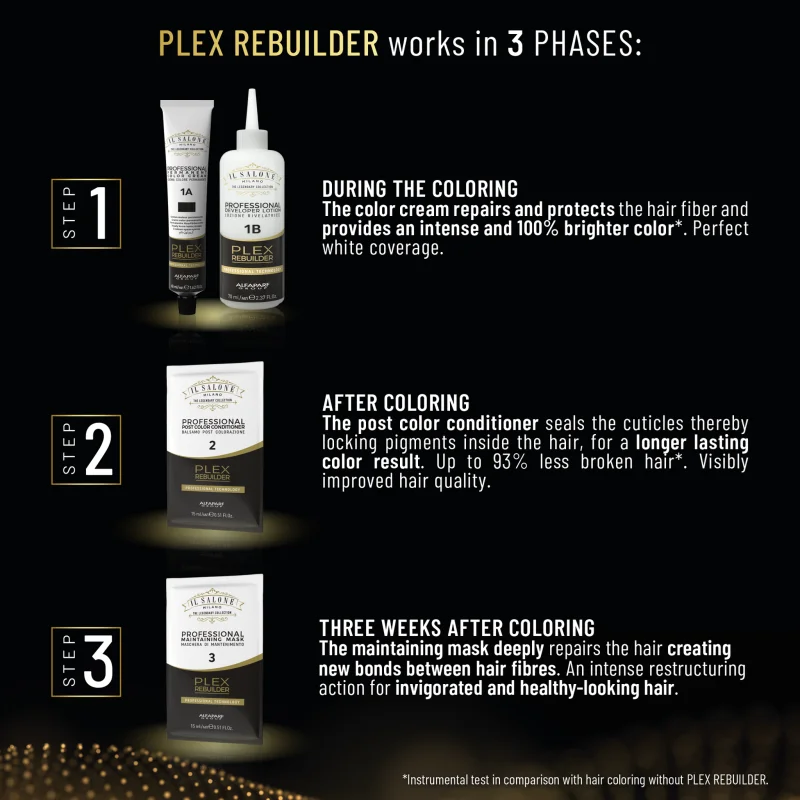 LE 3 FASI DEL PLEX REBUILDER DI ALFAPAF MILANO.webp