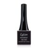 estrosa Top Coat Persistance senza dispersione .jpg