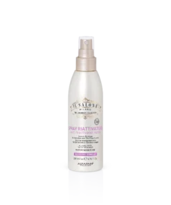spray riattivatore ricci_alfaparf_milano_il_salone_.webp