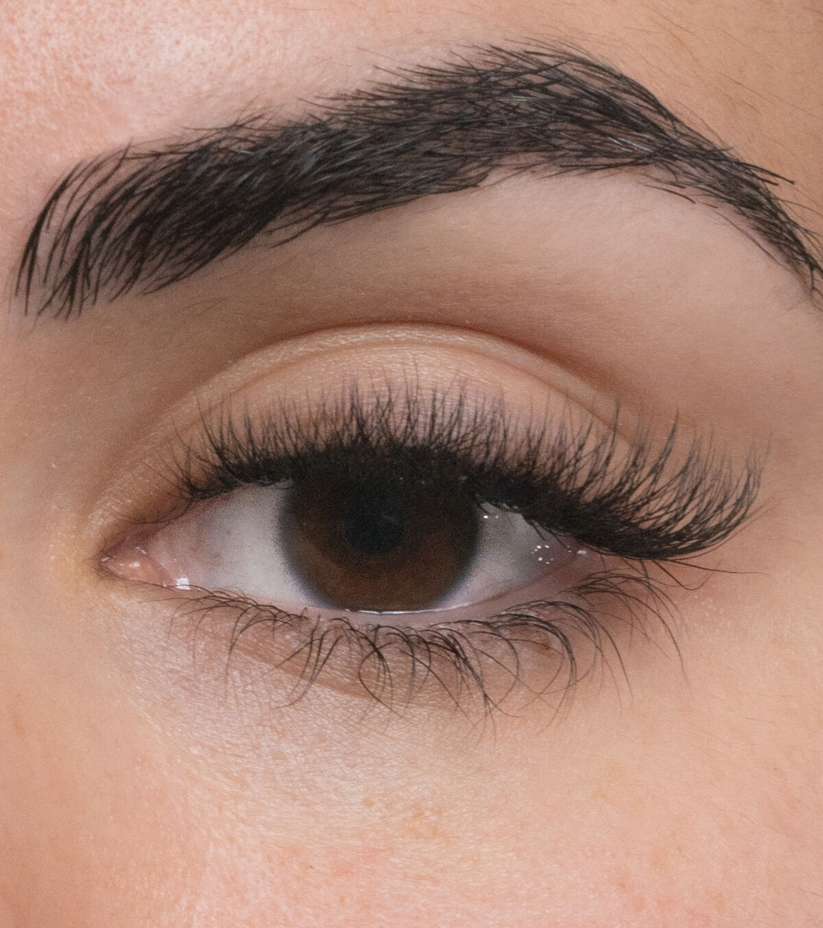 Ciglia_finte_lash_D.jpg